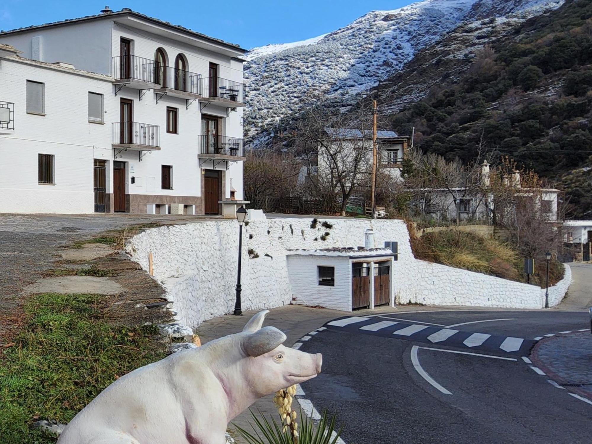 Alojamiento Rural Casa Clara La Pescaora Trevélez Exteriér fotografie